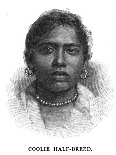 Coolie Half-breed